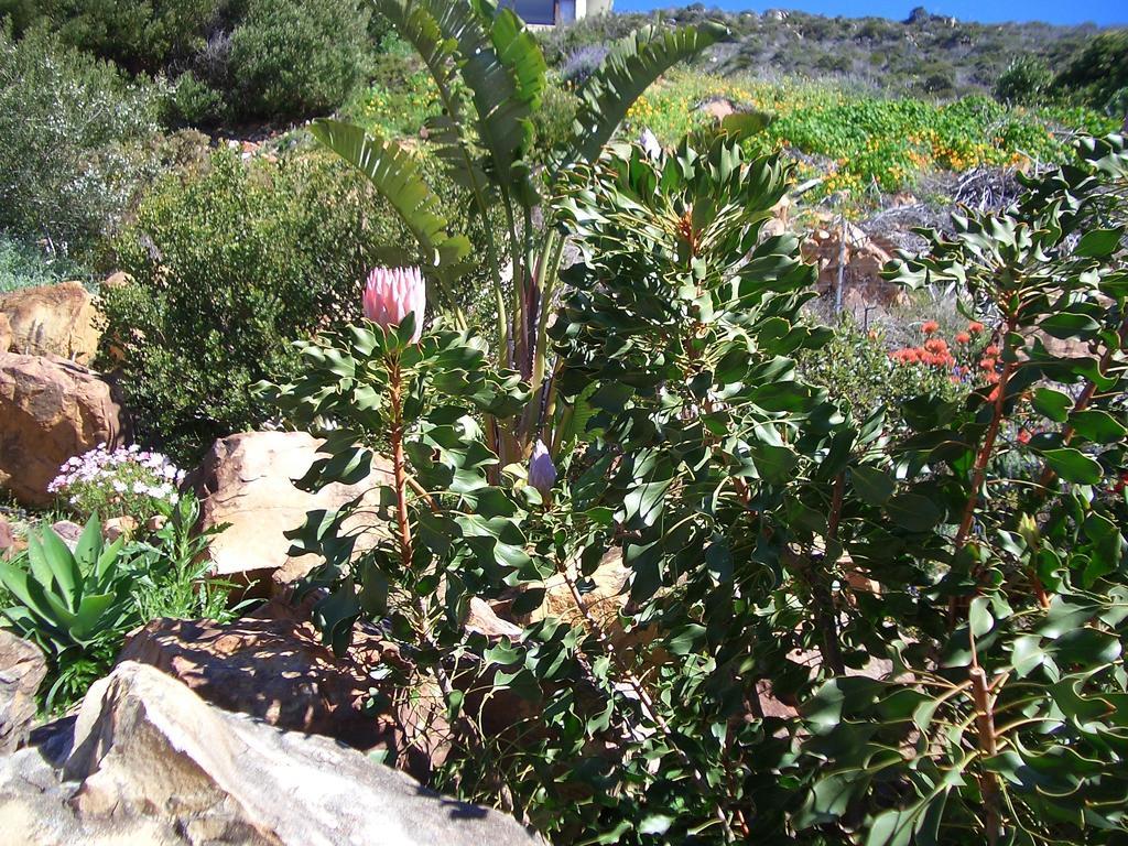 A Place In Thyme Fish Hoek Exterior foto